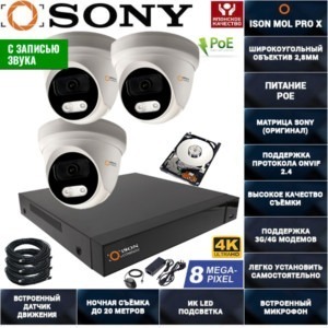 IP POE система видеонаблюдения со звуком НА 3 КАМЕРЫ ISON MOL PRO X-3 с жестким диском